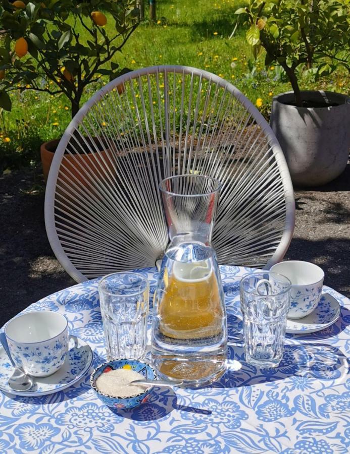 Villa Rosen - Ferienwohnungen Bad Reichenhall Dış mekan fotoğraf