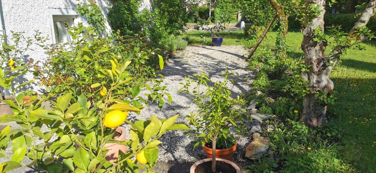 Villa Rosen - Ferienwohnungen Bad Reichenhall Dış mekan fotoğraf