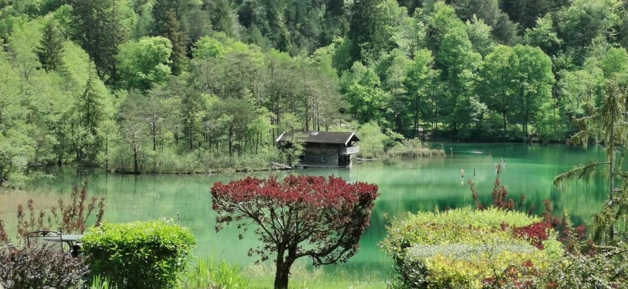 Villa Rosen - Ferienwohnungen Bad Reichenhall Dış mekan fotoğraf