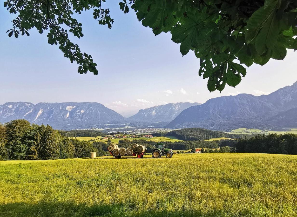 Villa Rosen - Ferienwohnungen Bad Reichenhall Dış mekan fotoğraf