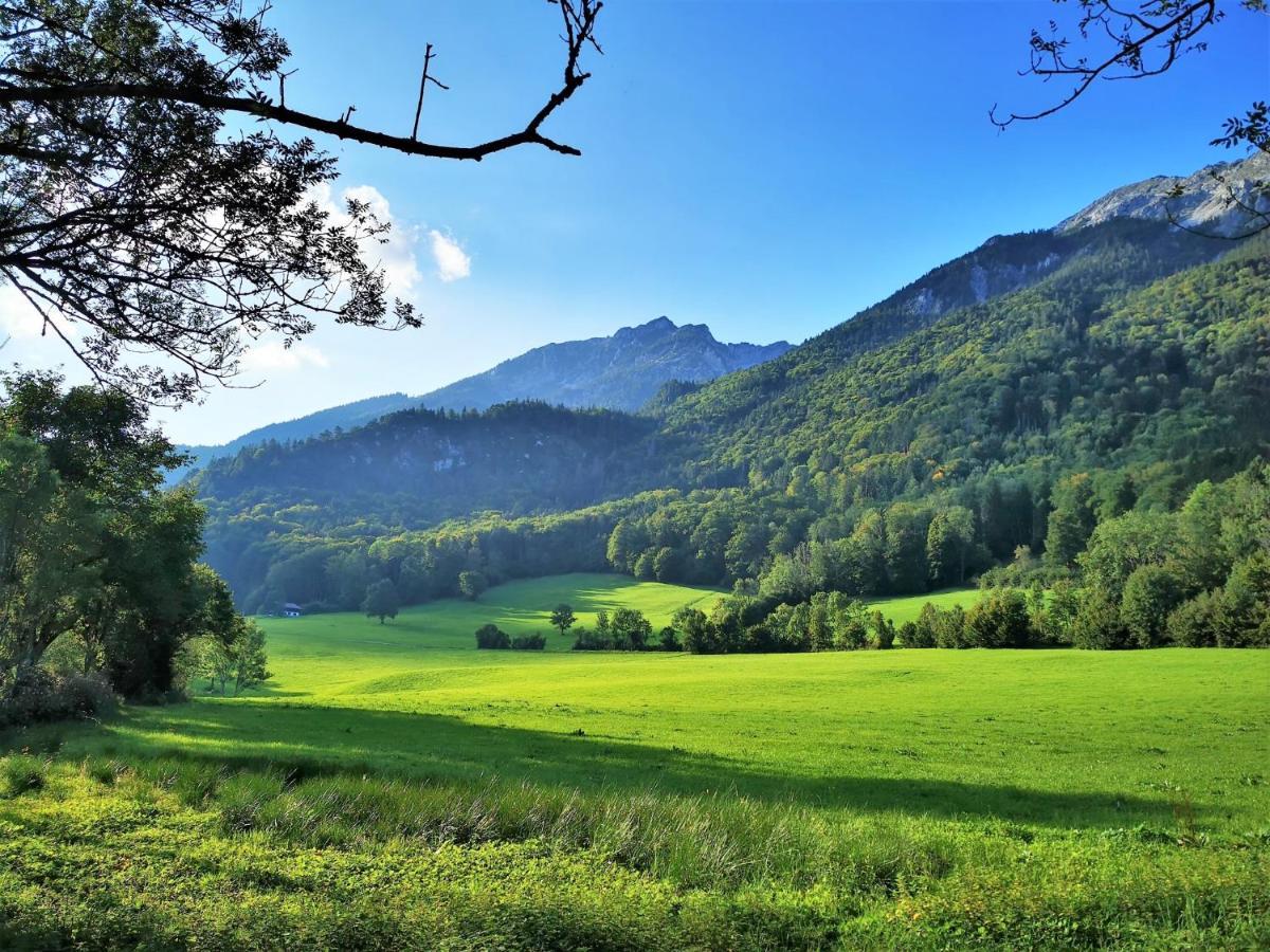 Villa Rosen - Ferienwohnungen Bad Reichenhall Dış mekan fotoğraf